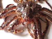 Крабы и крабовая икра