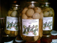 Солёные огурцы с зелёными помидорами