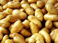 Картофельный разгрузочный день