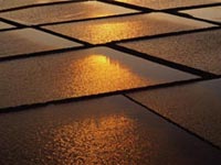 2-ая часть: Жизнь в собственном мире. Любопытная частота.