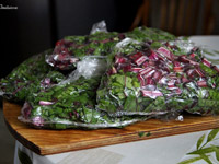 Свекольная ботва на зиму