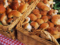 69 занятие - Грибы (аппликация)