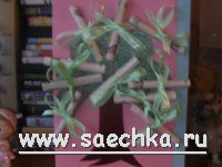 Открытка с деньгами