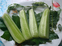 Огурцы малосольные с дикими травами